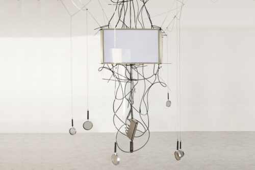 When the World is Magnified | Interview with Karina Smigla-Bobinski