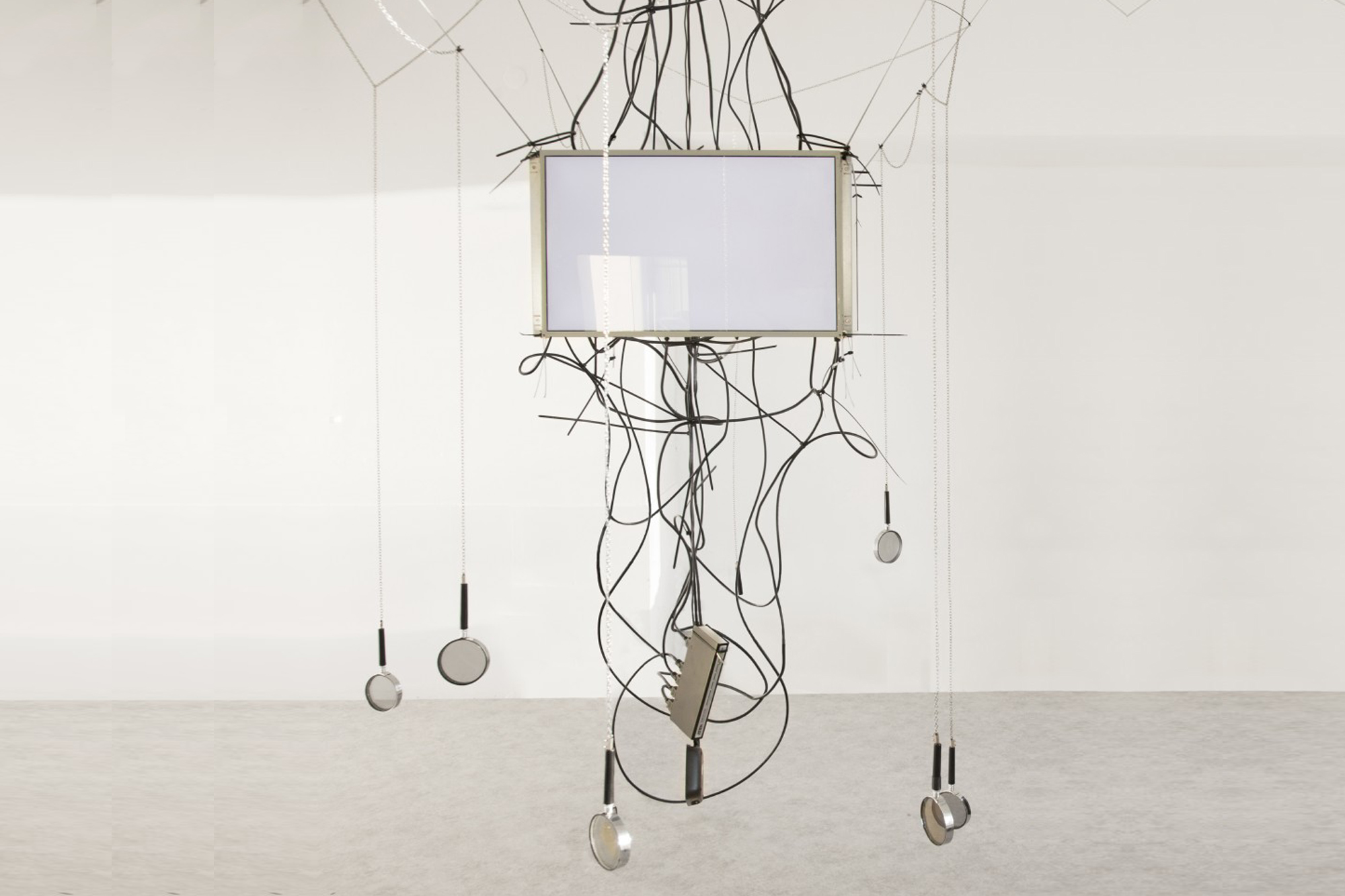When the World is Magnified | Interview with Karina Smigla-Bobinski