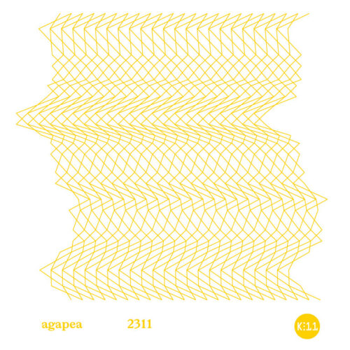 agapea | 2311 | collaboration in music album