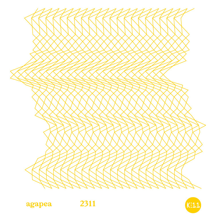 agapea | 2311 | collaboration in music album