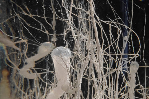Time Displacement / Chemobrionic Garden