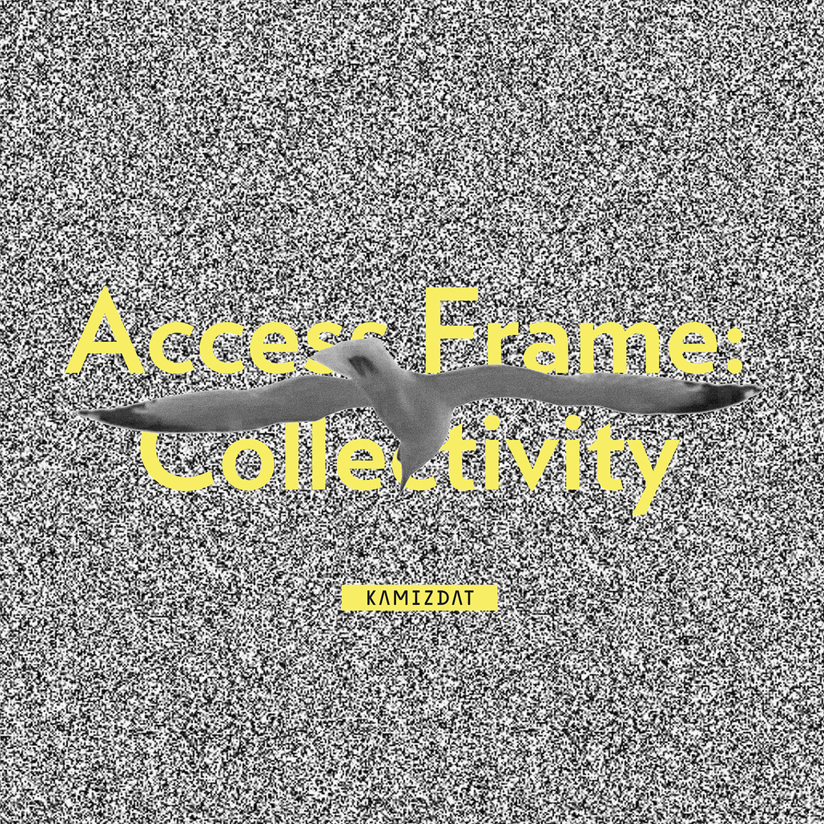 Access Frame: Collectivity | compilation