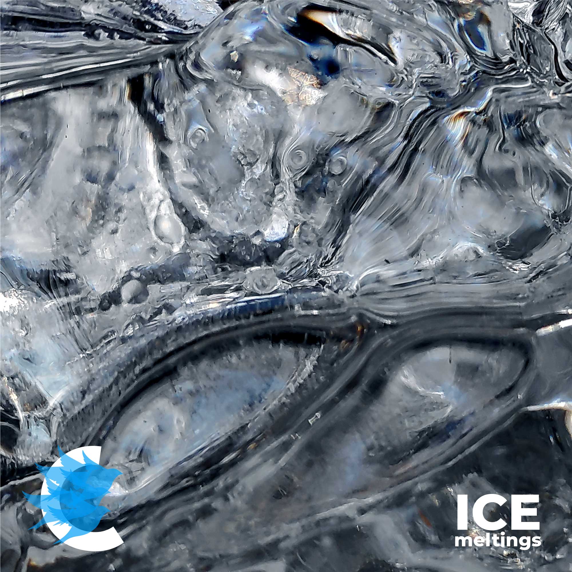 Jata C: ICEmeltings