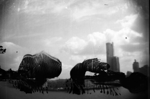 Beautiful Crisis | audiovisual work