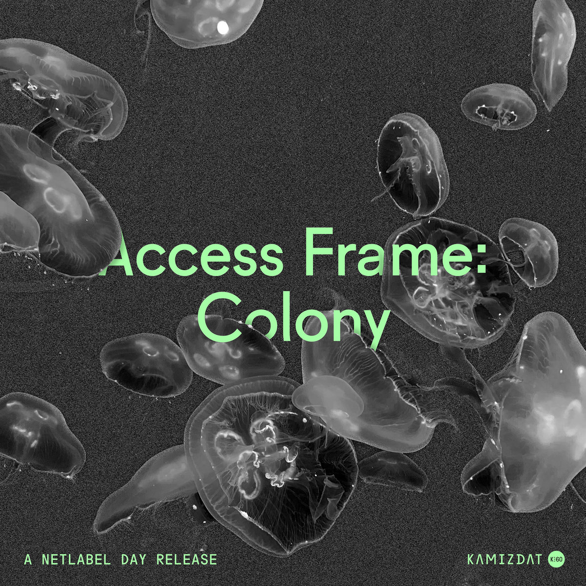 Access Frame: Colony | compilation
