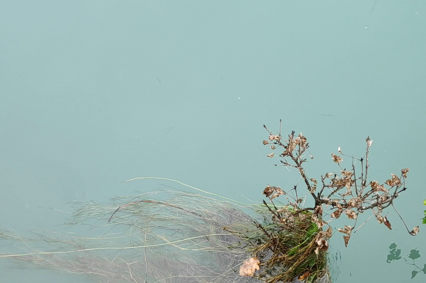 Voluminous Movement of a Watery Earth | ambisonic composition